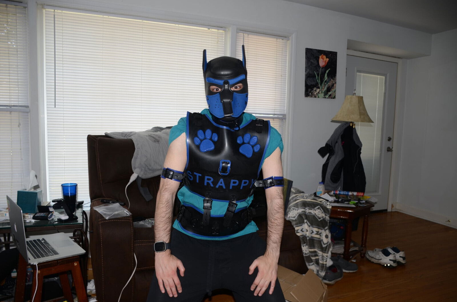 Unboxing blue Bronco Magnus harness, Strappys first bork