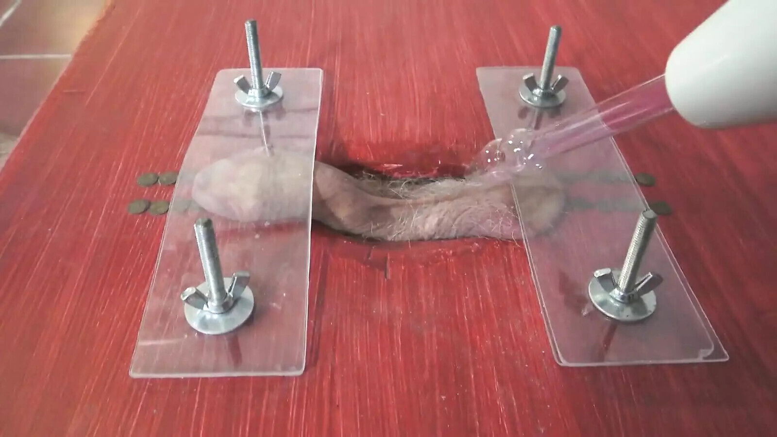 Power ball punishment with heel trampling!