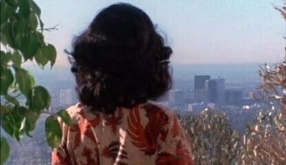 Fantasm World Sexual Fantasy (1976)