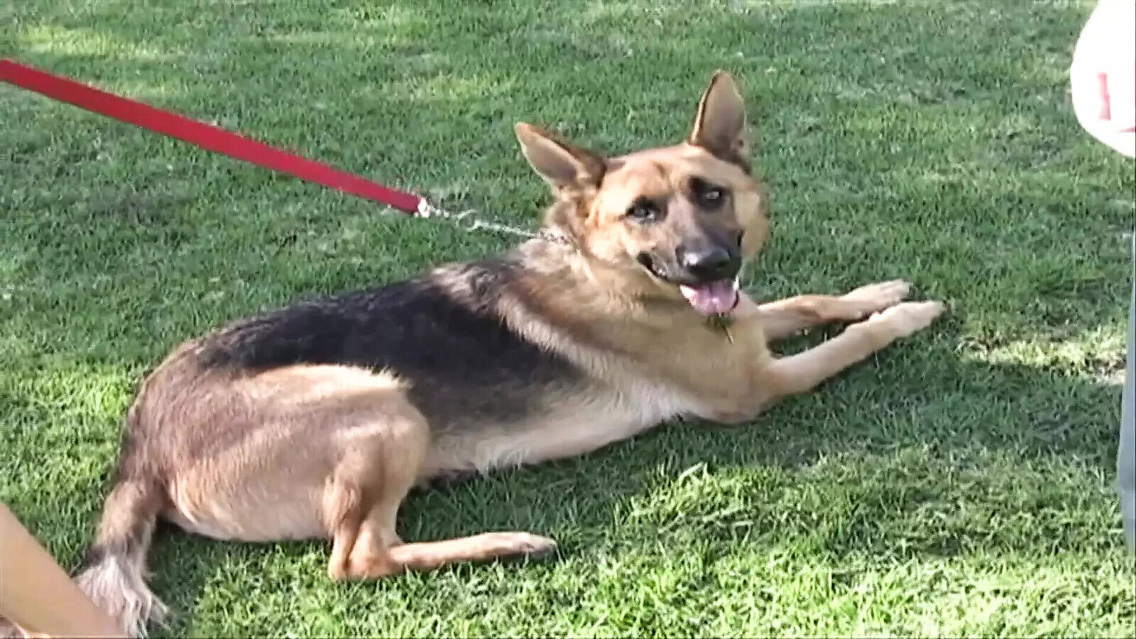 Freak pick brunette handjob