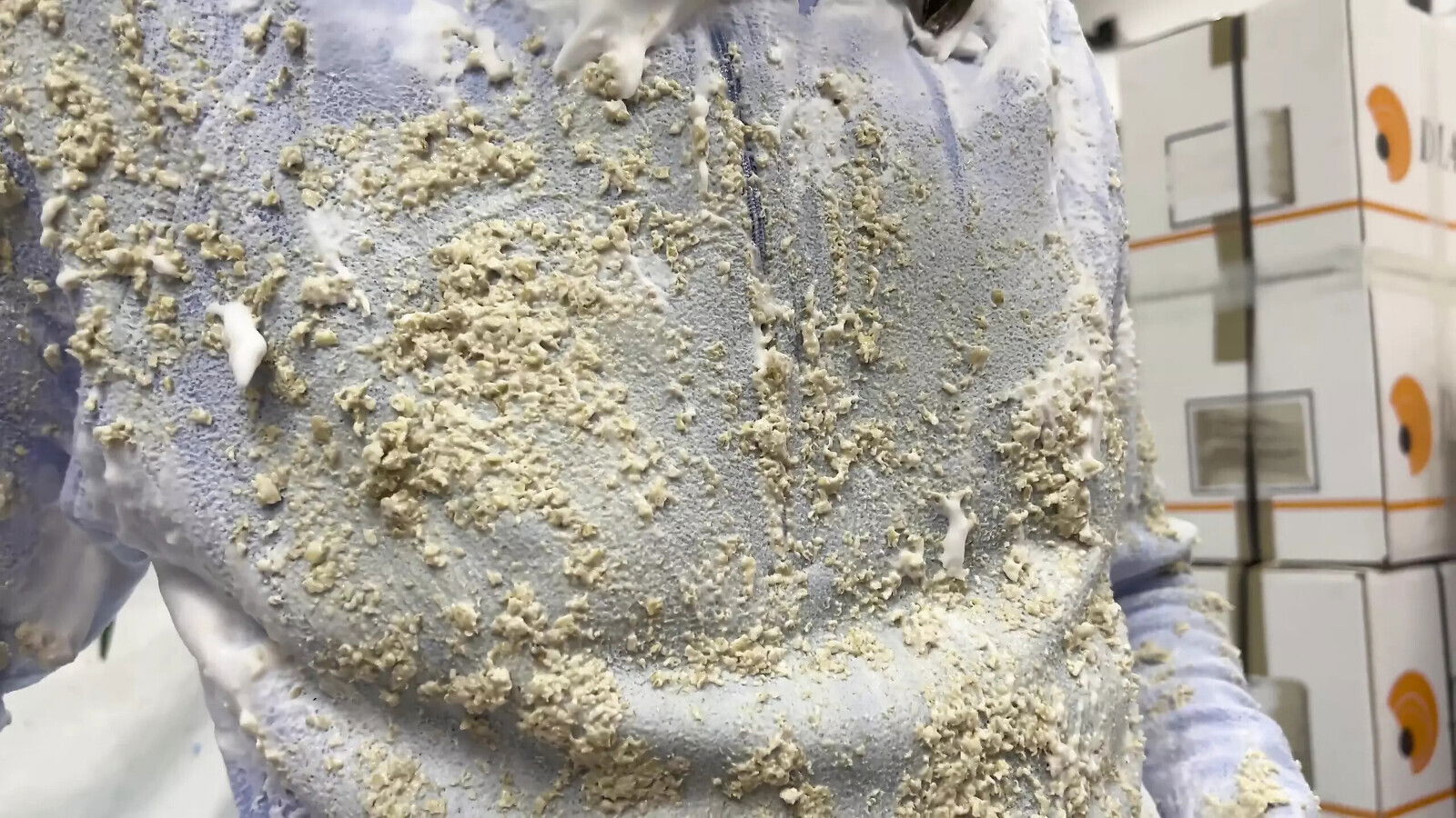 Fleece Pied smothered porridge