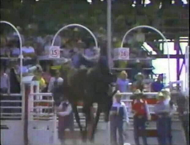 Candy Samples at Calgary Stampede