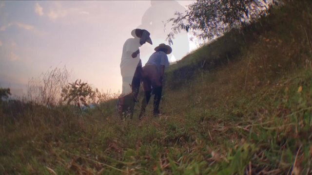 ROMANTIC SEX IN THE FIELD WITH OUR HATS 💚🤠