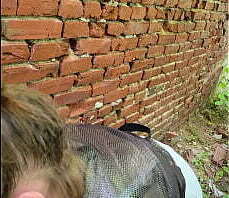 Damn she sucks me good