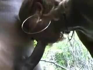 STP5 Now That's What I Call A Good Holiday Rep !