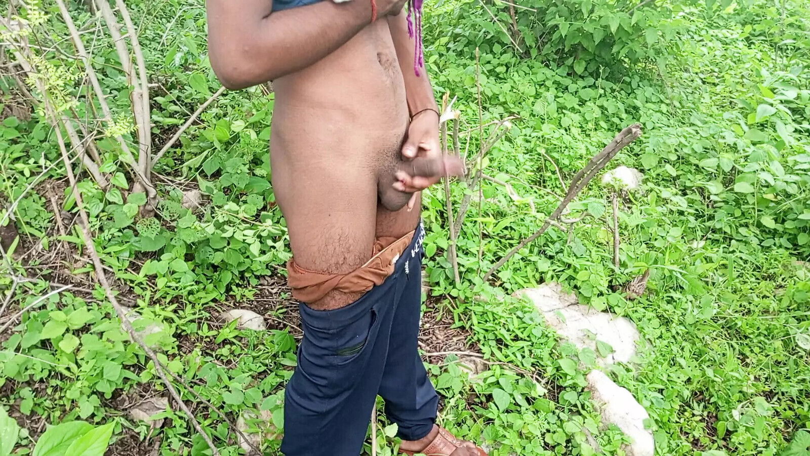 with full going dense forest hill