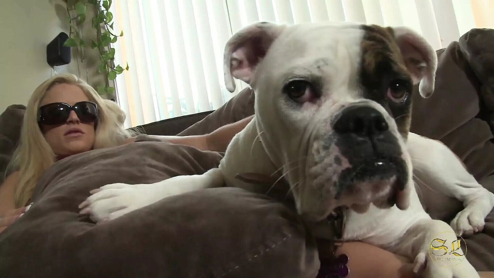 Pornstar Star Brooke Belle Love Their Together