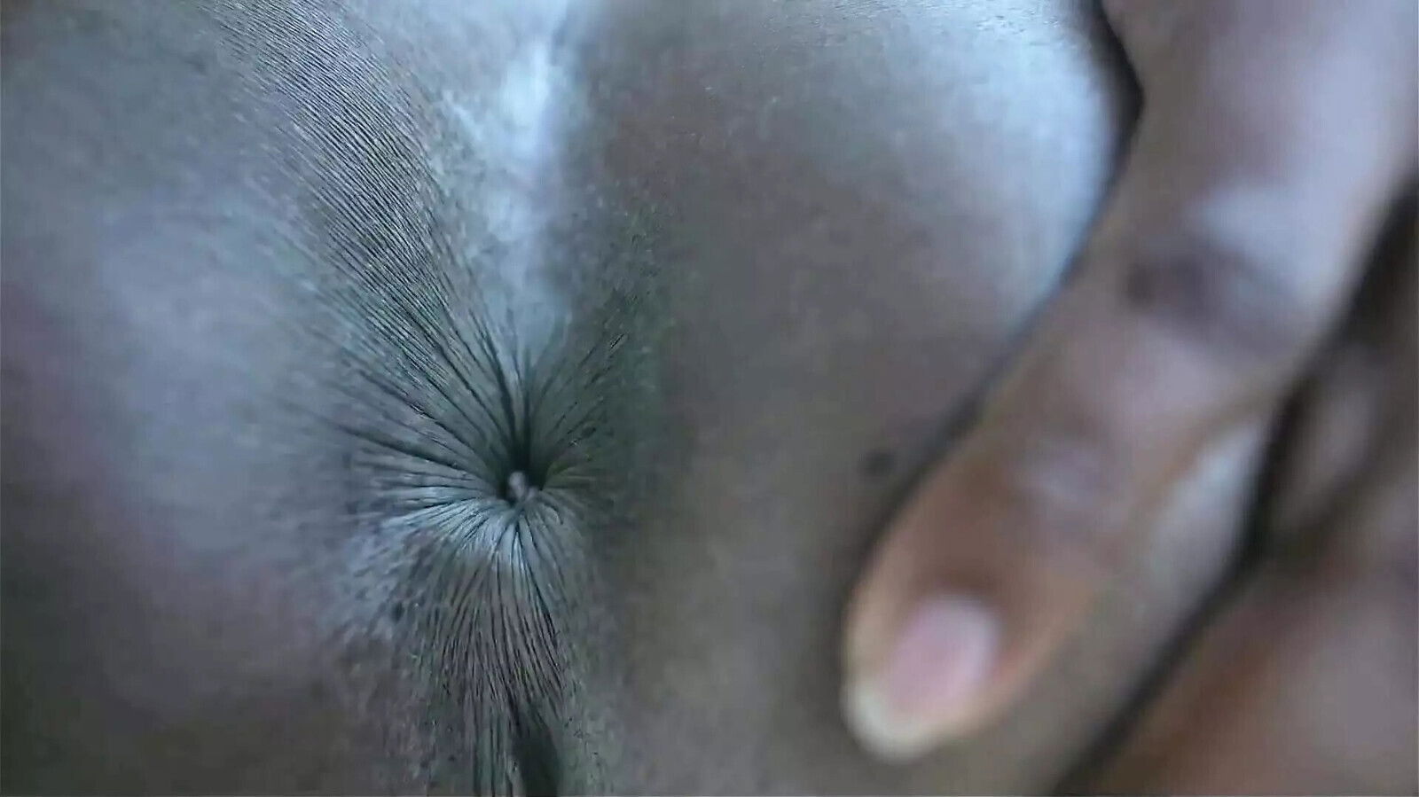 focus anus models, watch they dilate GGmansion