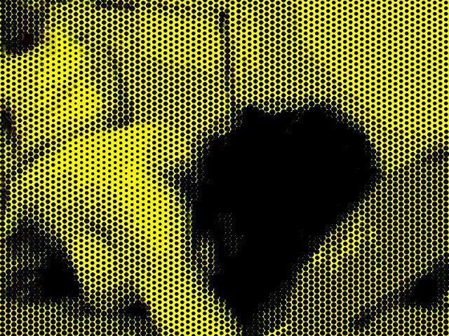 i just met her and started bangin her