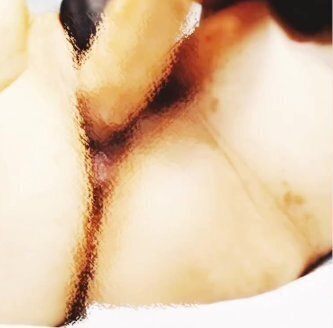 奥まではだめだけど、先っぽだけなら入れてもいいよ(´・ω・｀) っと言われたら入れますか？？