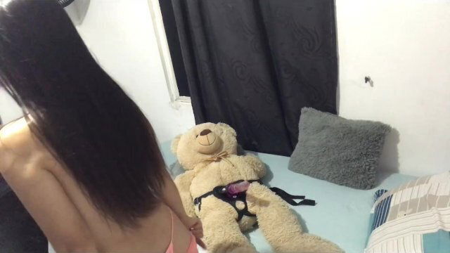 super horny fucked teddy bear with leash