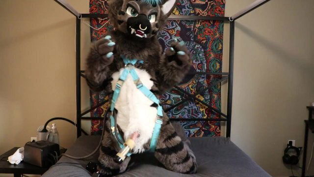 Fursuiter cums using venus 2000