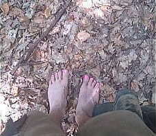 Barefeet walking in the forrest