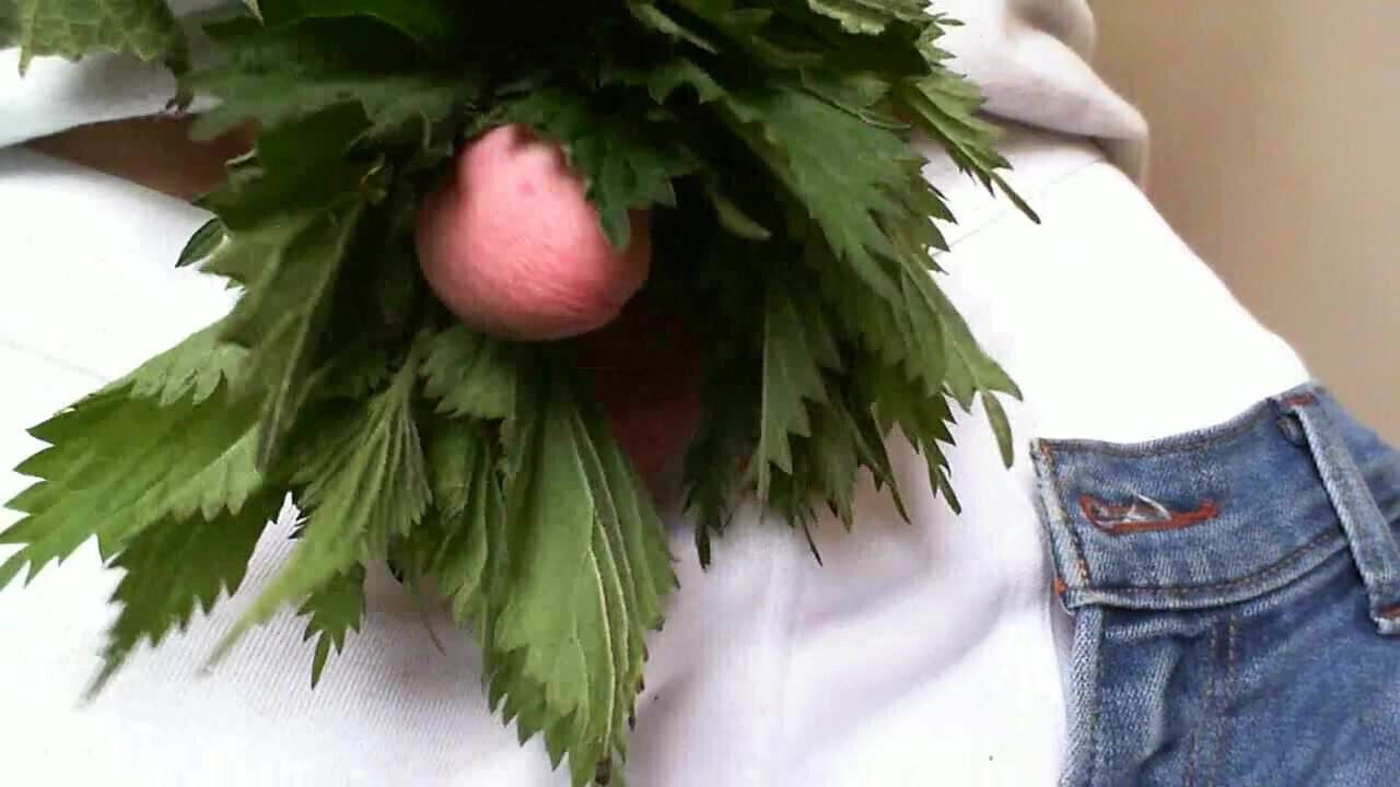 cock cbt nettles