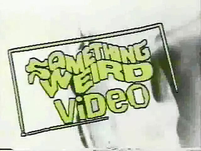 Bucky Beaver's Vol 23 ( Uschi Digart) 