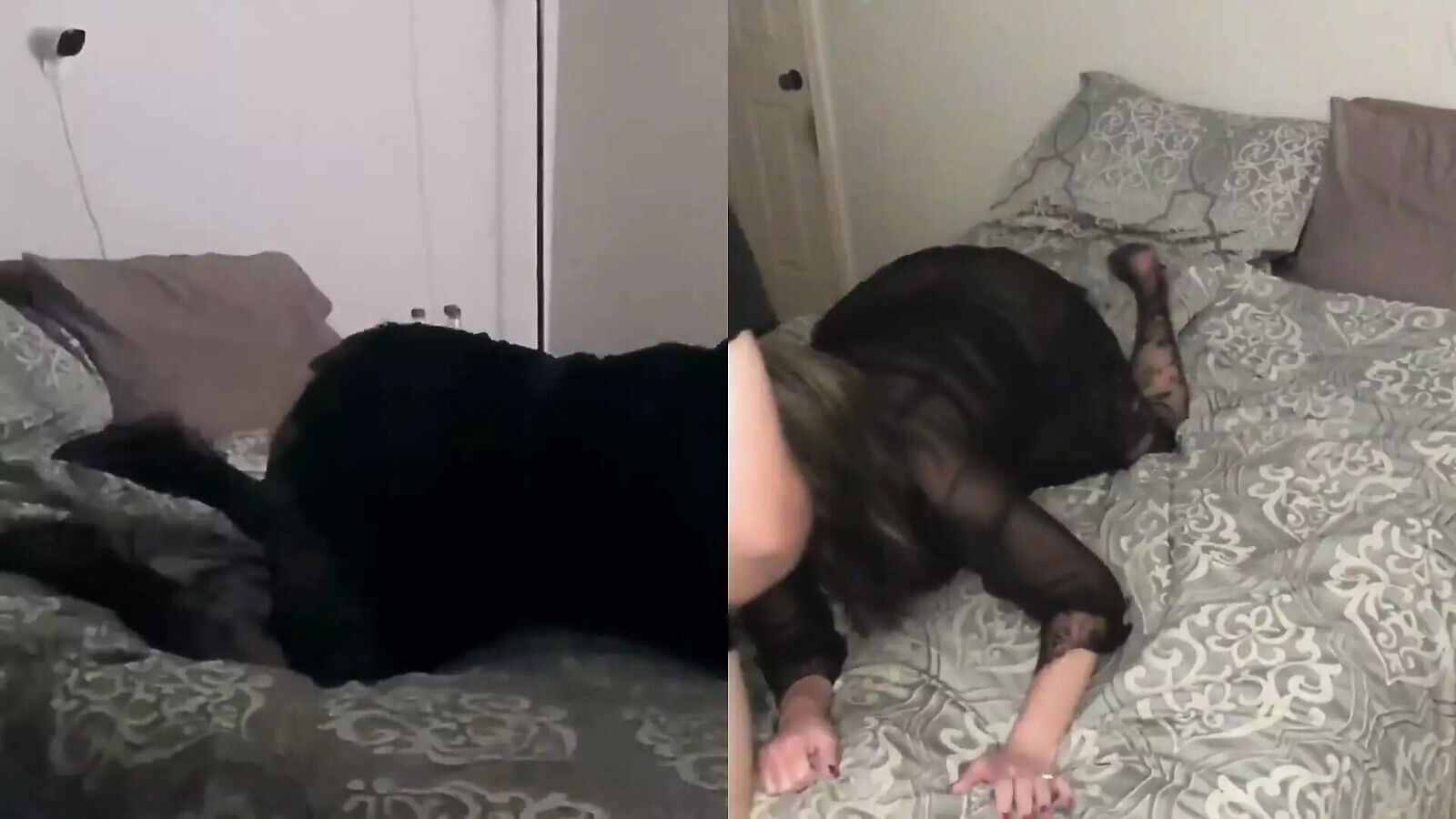 Stood Settled Bang Porn