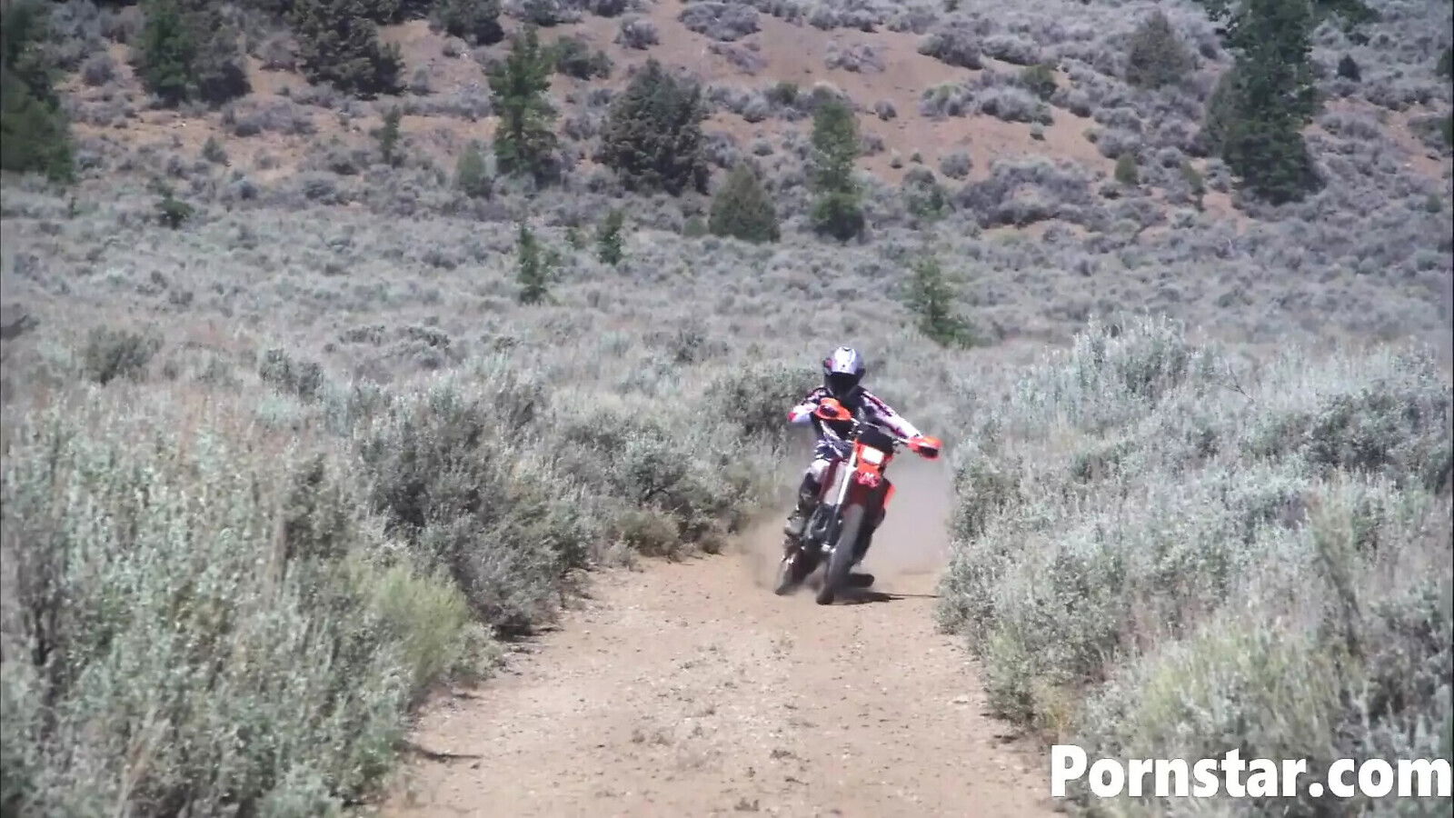 Horny Lauren Phoenix Blows Huge Gets Facial