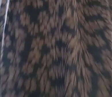 regalo esta obra arte para vean como putas desde chiquitas