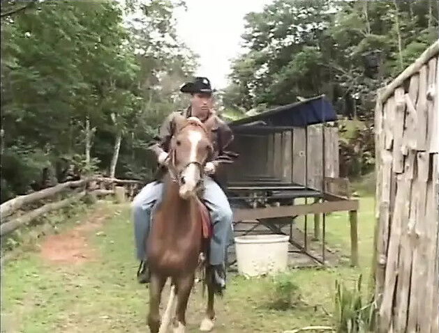 blonde gets pussy eaten while putting condom