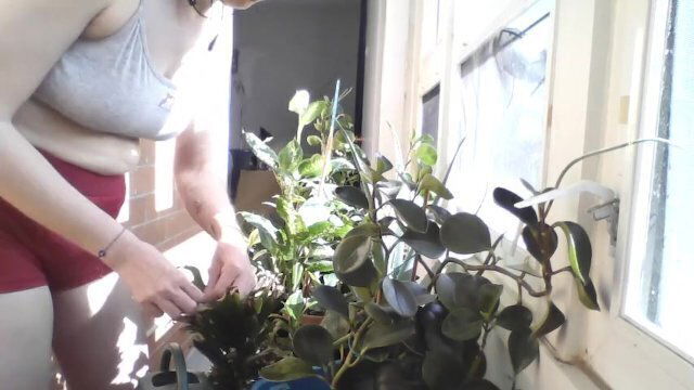 Not-So-Secret Garden