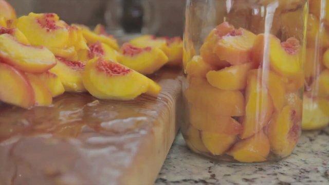 Venison Delight_ Canning Guide