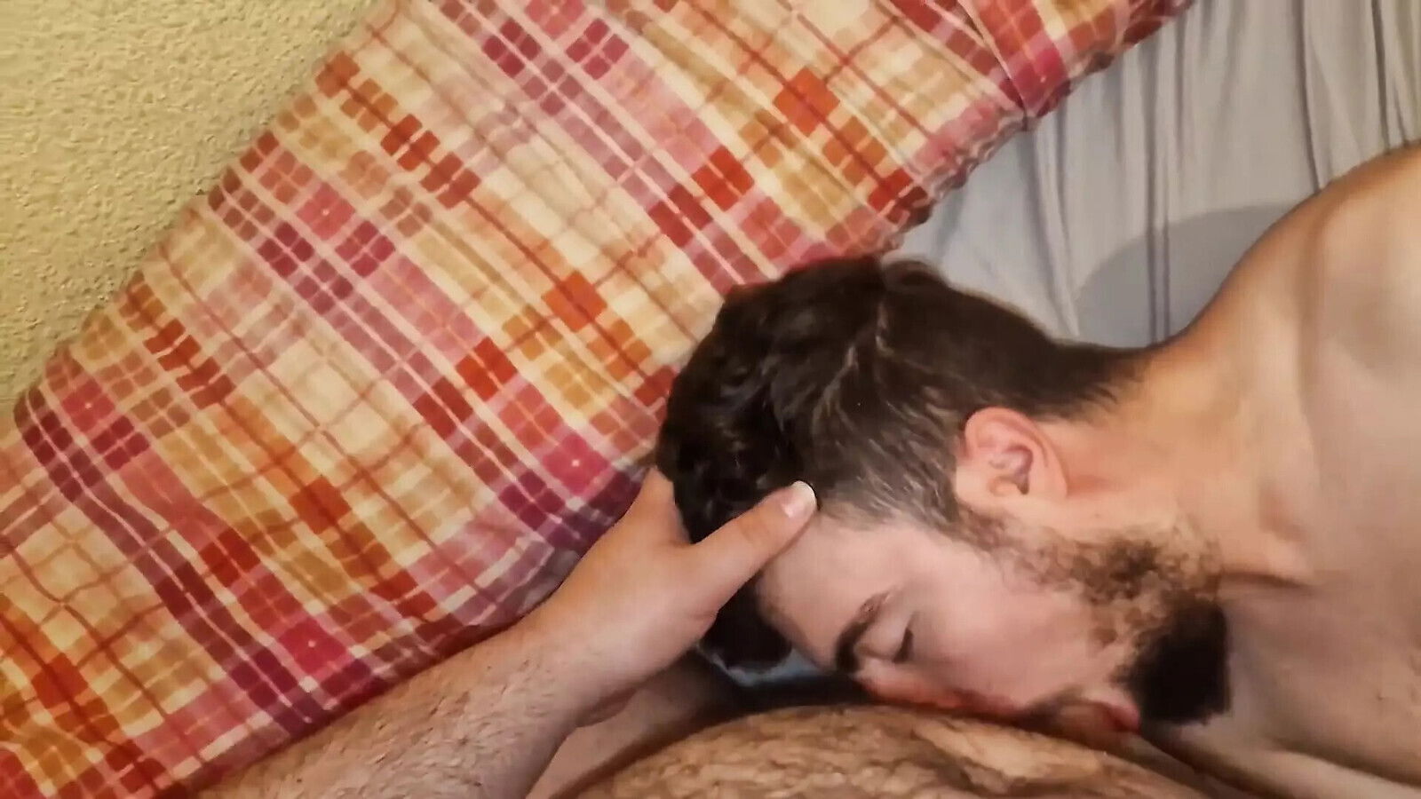 Gordos Peludos Chupan Pollas Corren Cara