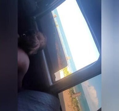 with street call girl