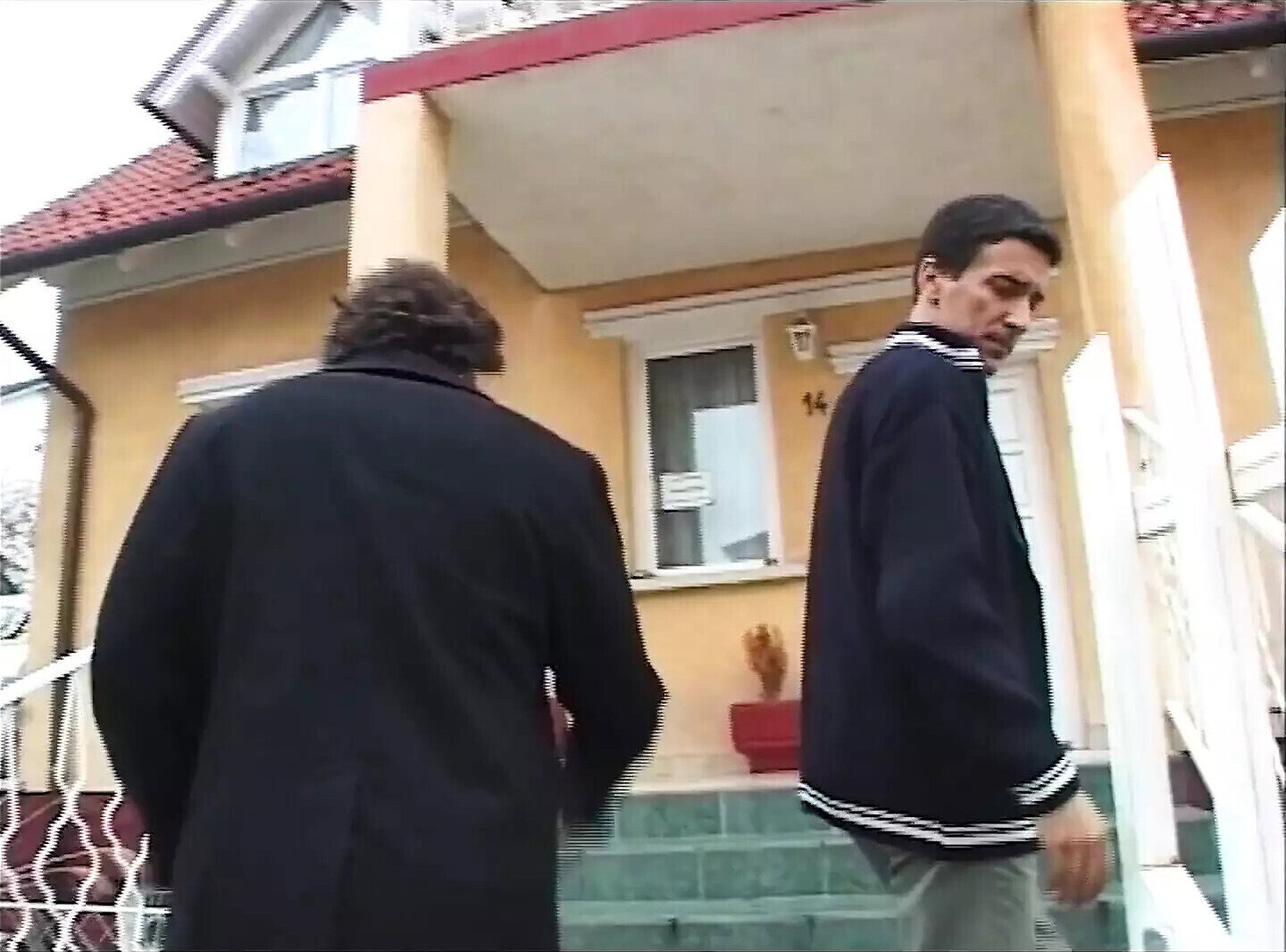 Italian Foal Budapest