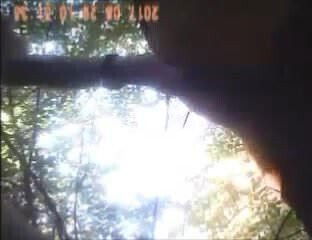 petite rencontre dans bois