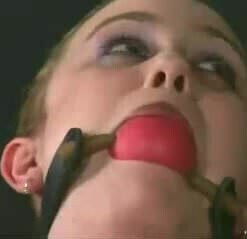 411 3rd First Day in the Chair