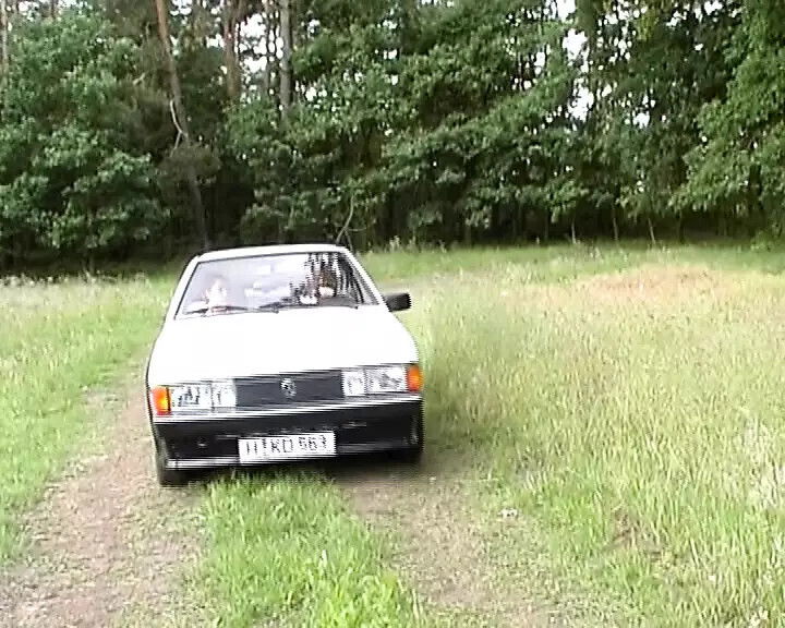 Dark haired chick from Germany making dudes woods