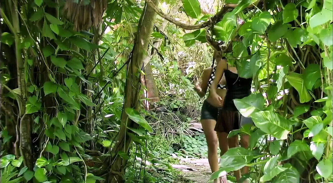 Into Mist Episode Mysteries Everywhere