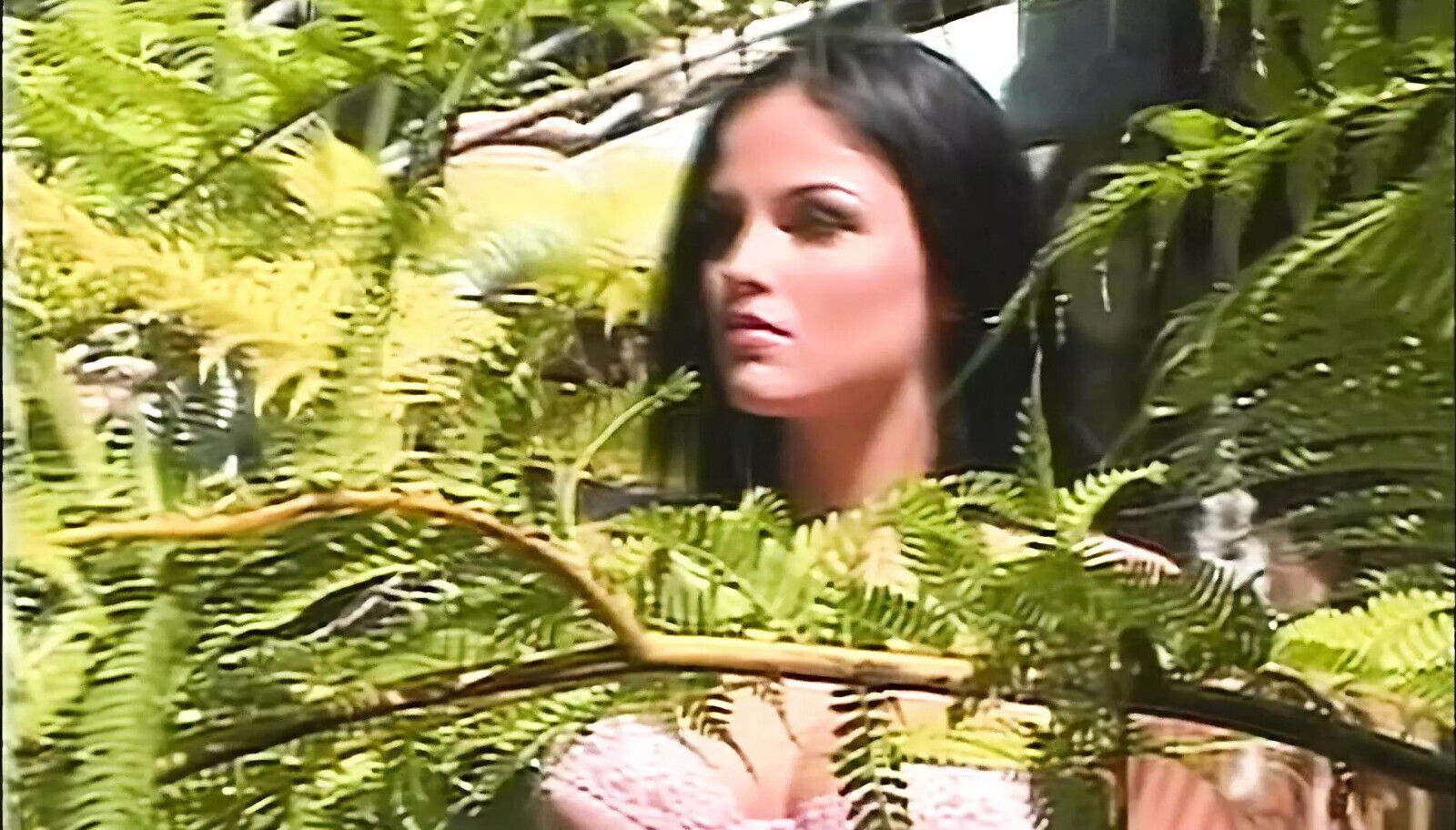 Outdoor With Neighbor