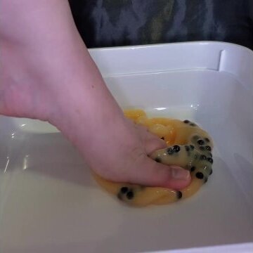 Mango Slime (feet squishing ASMR)