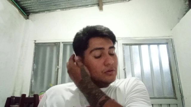 Capitulo Manual procedimiento penal Henry Torres Vásquez Parte