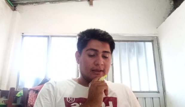 Capítulo Manual procedimiento penal Henry Torres Vásquez Parte