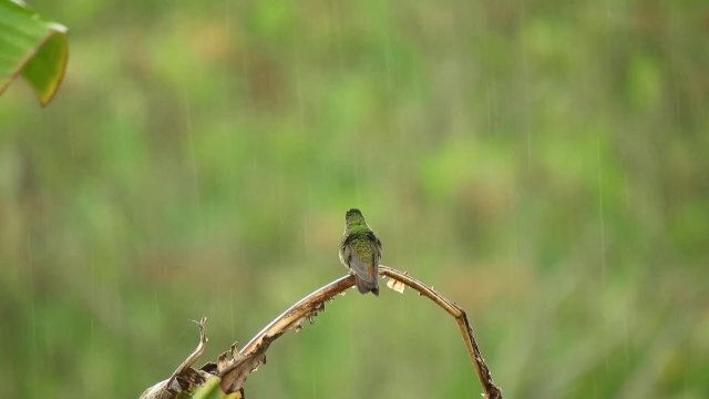 Listen this peaceful mind relaxing while watching porn.sound .Rain sound.