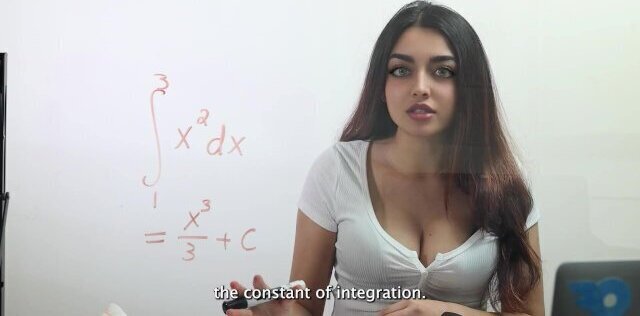 what Integrals?