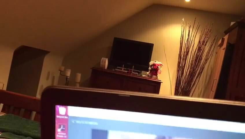 Mistress Saturday before dogging 