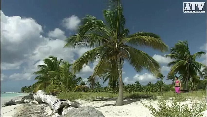 Aliz Italian slut with small perky brunette hair