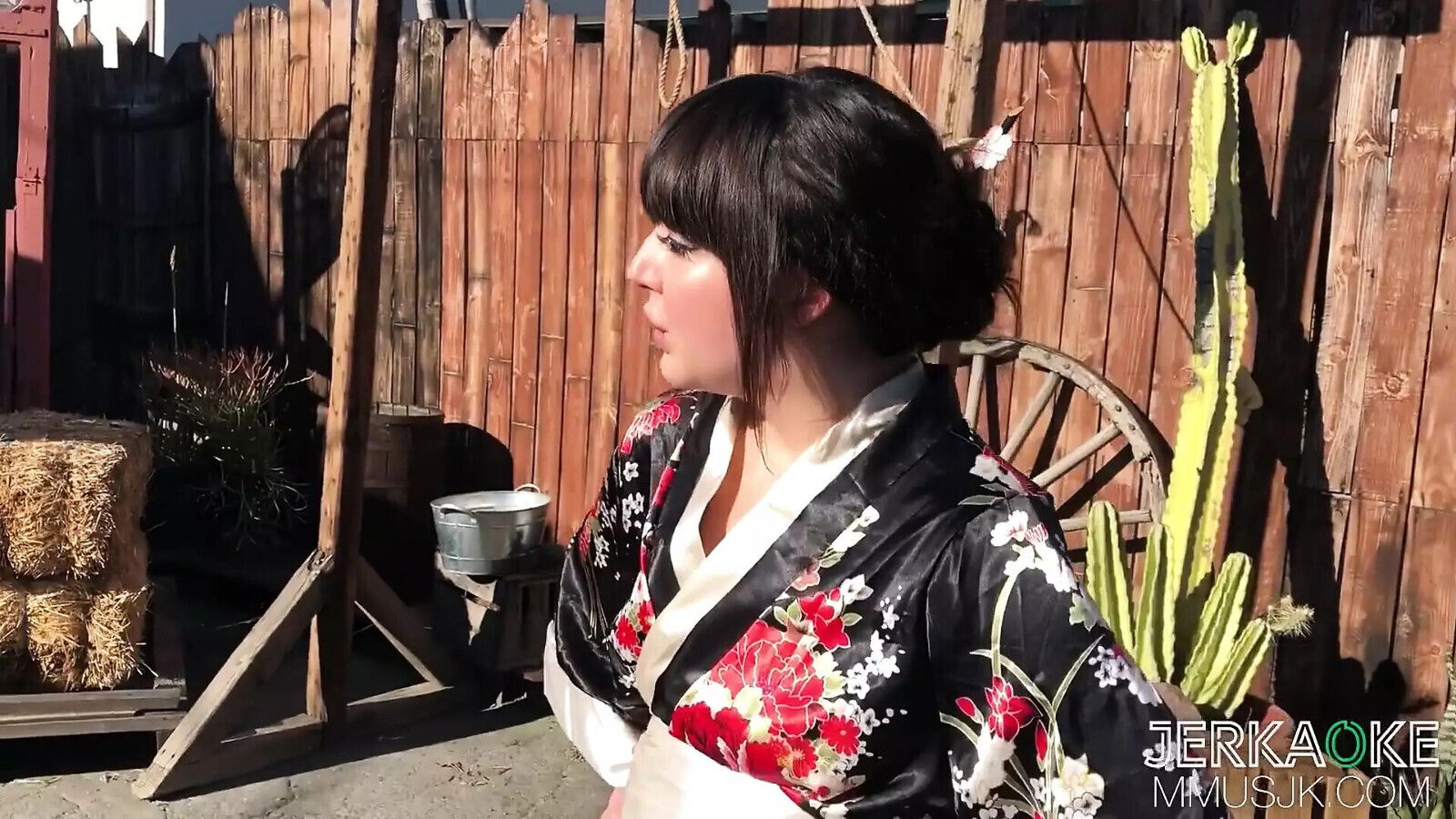 Jerkaoke Sexy Ninja Assassin