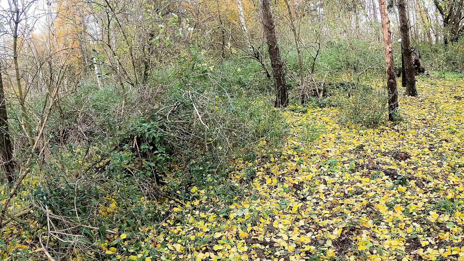 Come over there take your clothes