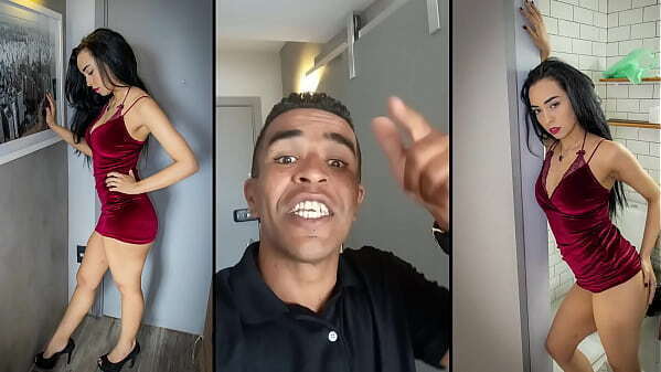 Gata Borralheira noite Cinderela