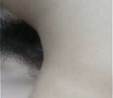 粉墨人生-情人给我干的只求饶