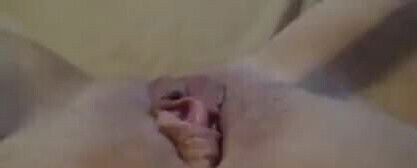 clit, meaty pussylips pink vibrator