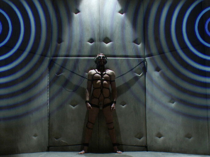 Hot New Sub Drake Temple