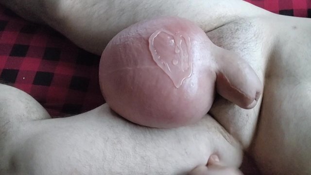 saline record 26/12/23