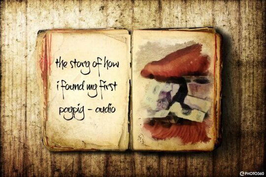 story found first paypig