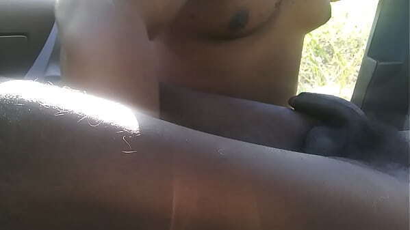 WHEELS LETTING SWALLOW UNCUT MEAT