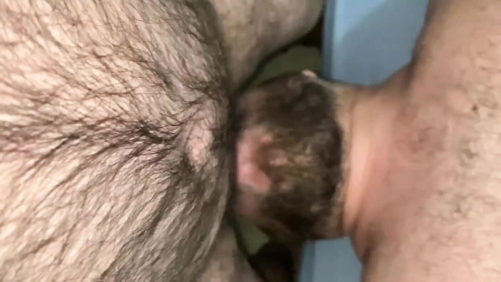 Hairy Chubby Bear Swallowing